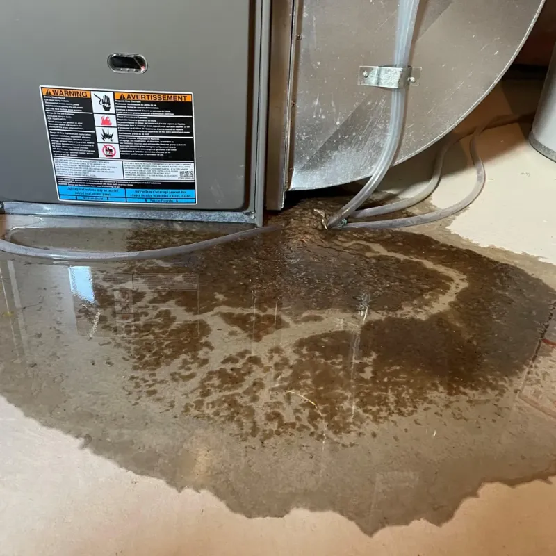 Appliance Leak Cleanup in Greenville, RI